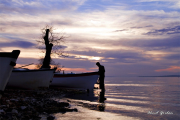 Gölyazı-2015