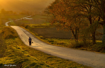 Yol Boyunca...