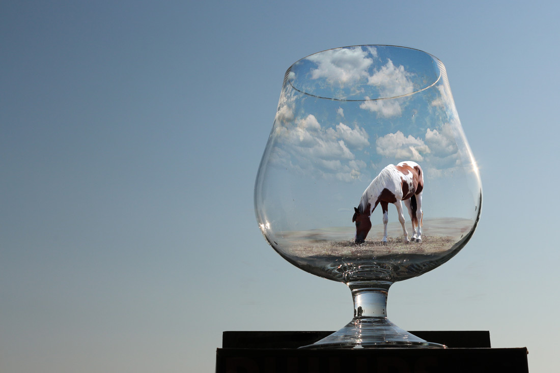 One glass, one world