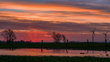 Sunrise