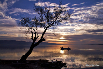 Gölyazı