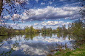 Last  spring