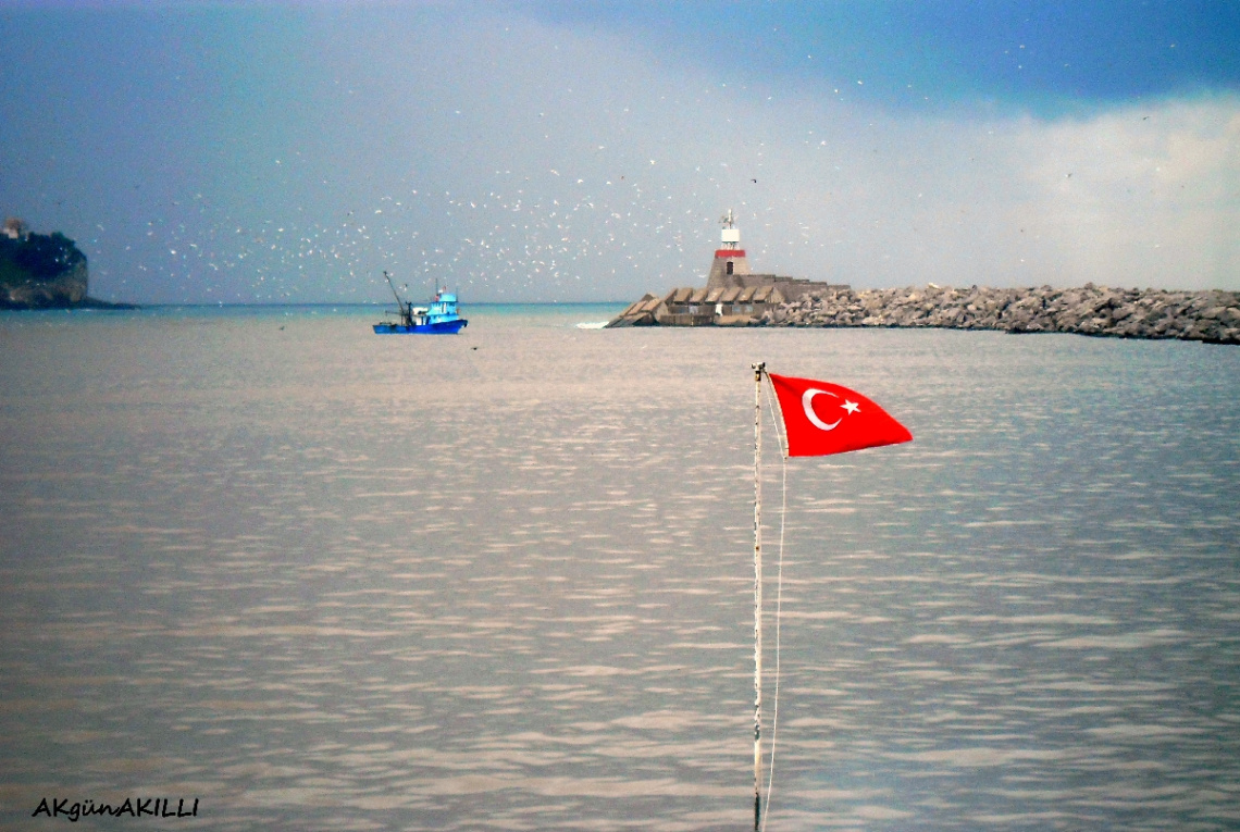MEMLEKET
