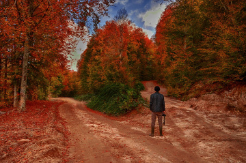 YOL AYRIMI_________________.!