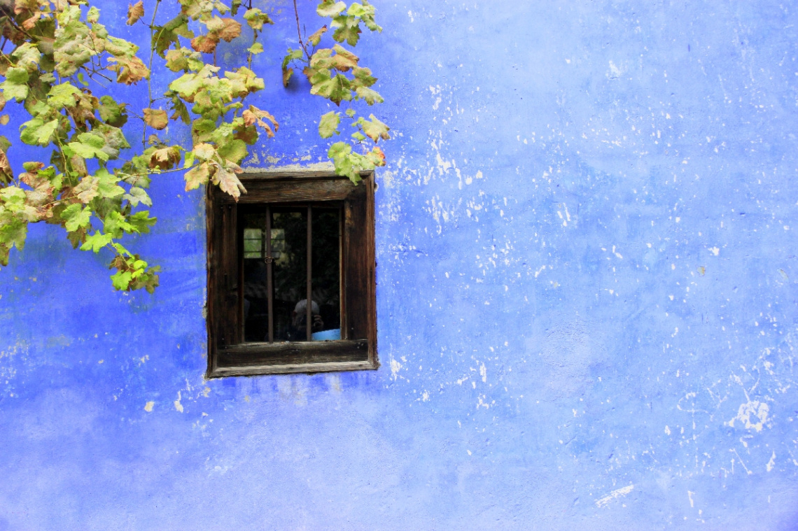window