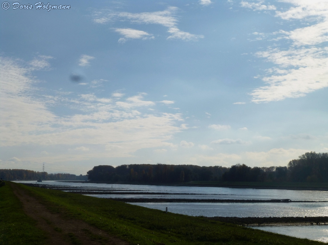 Am Rhein, Karlsruhe-Maxau (Baden-Württemberg/Germa