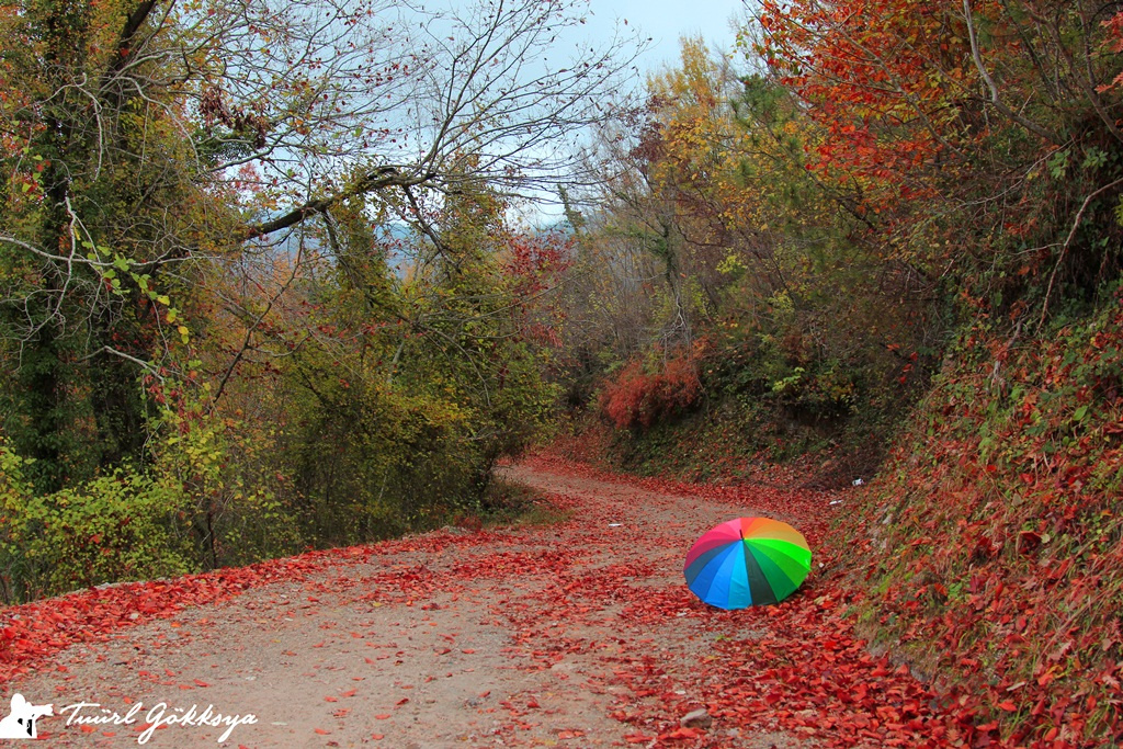 Derdi nedir Bu Son Baharın