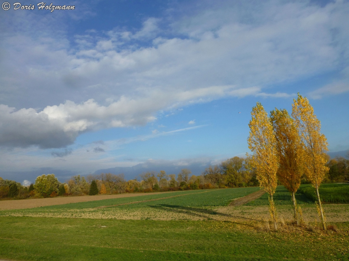 Am Rhein, Karlsruhe-Maxau (Baden-Württemberg/Germa