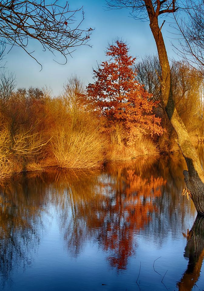 Autumn on  lake