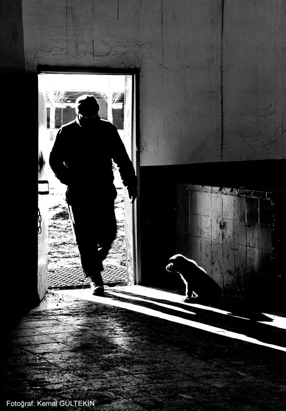 man and dog