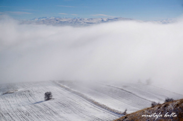 Öyle bir yerdeyim ki 