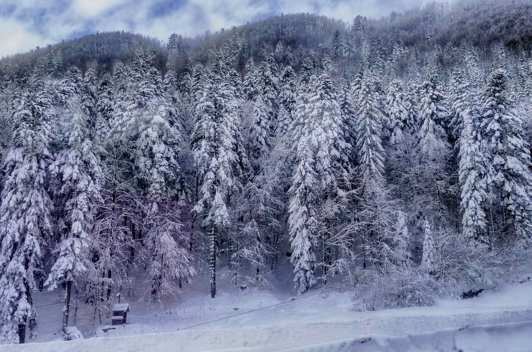 Snow time