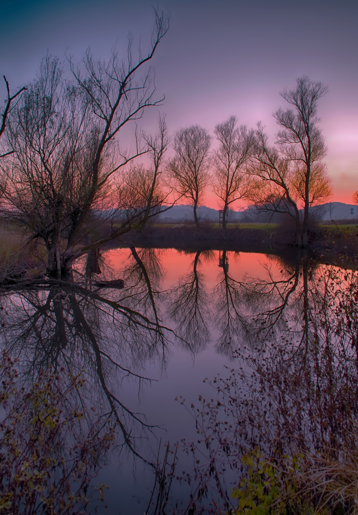 Purple sunset