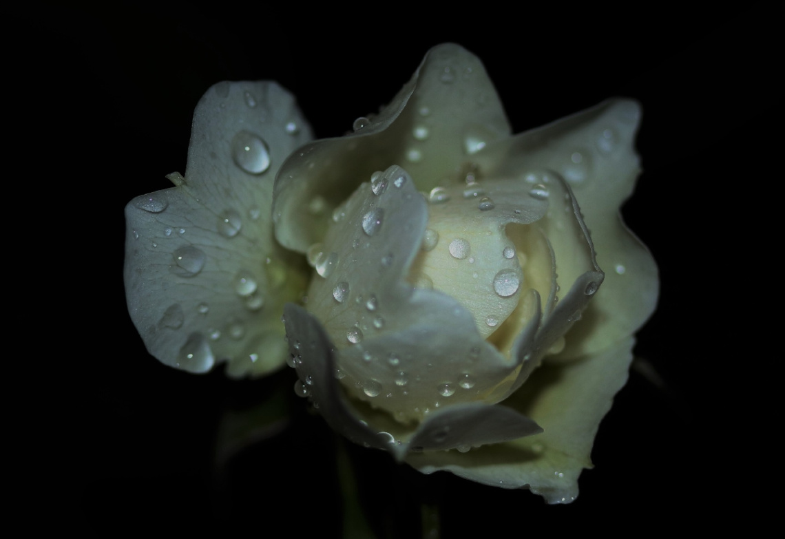 In the dark - after rain