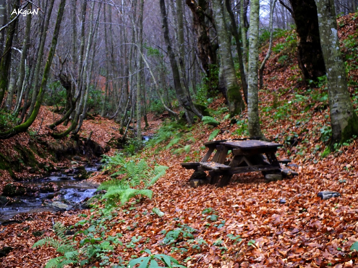 doğadan