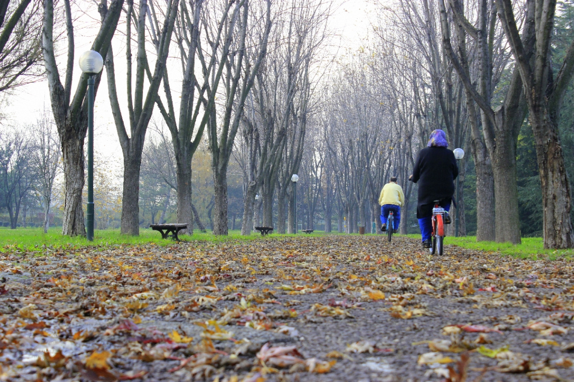 Bursa Botanik Park