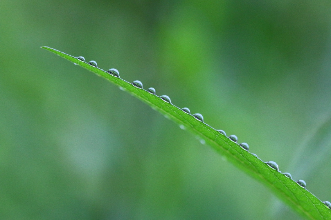 waterdrops