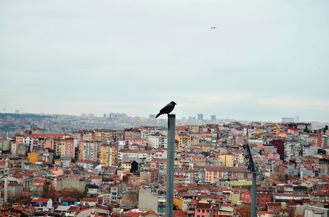 Kuş bakışı/Bird's eye view