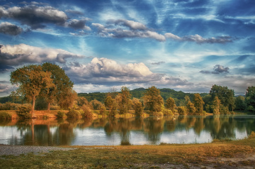 Swan lake
