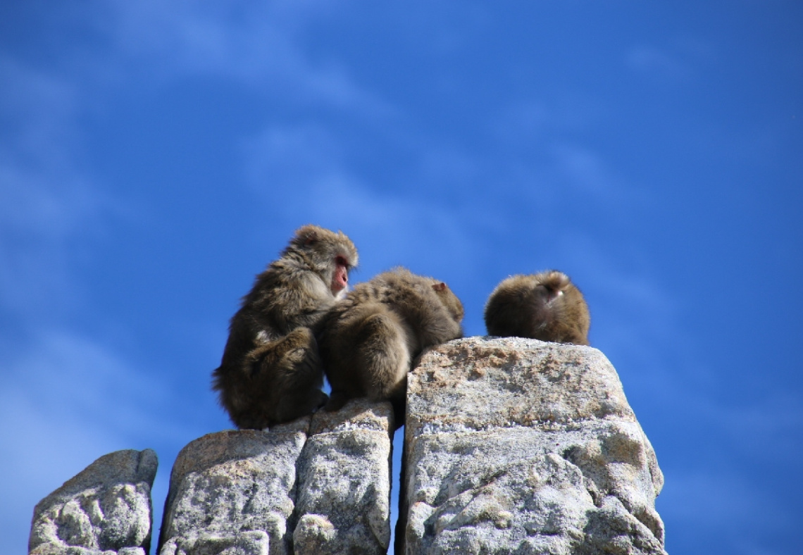 On the top of the rocks