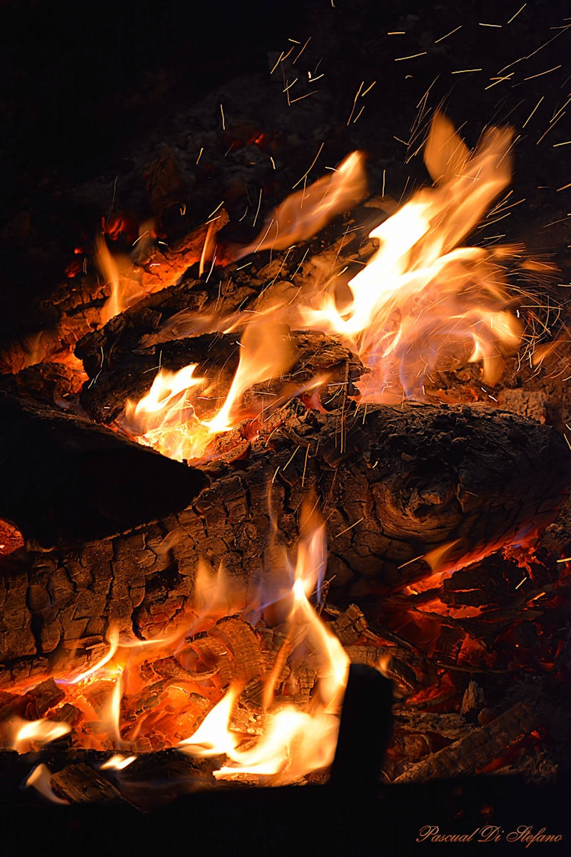Fire 