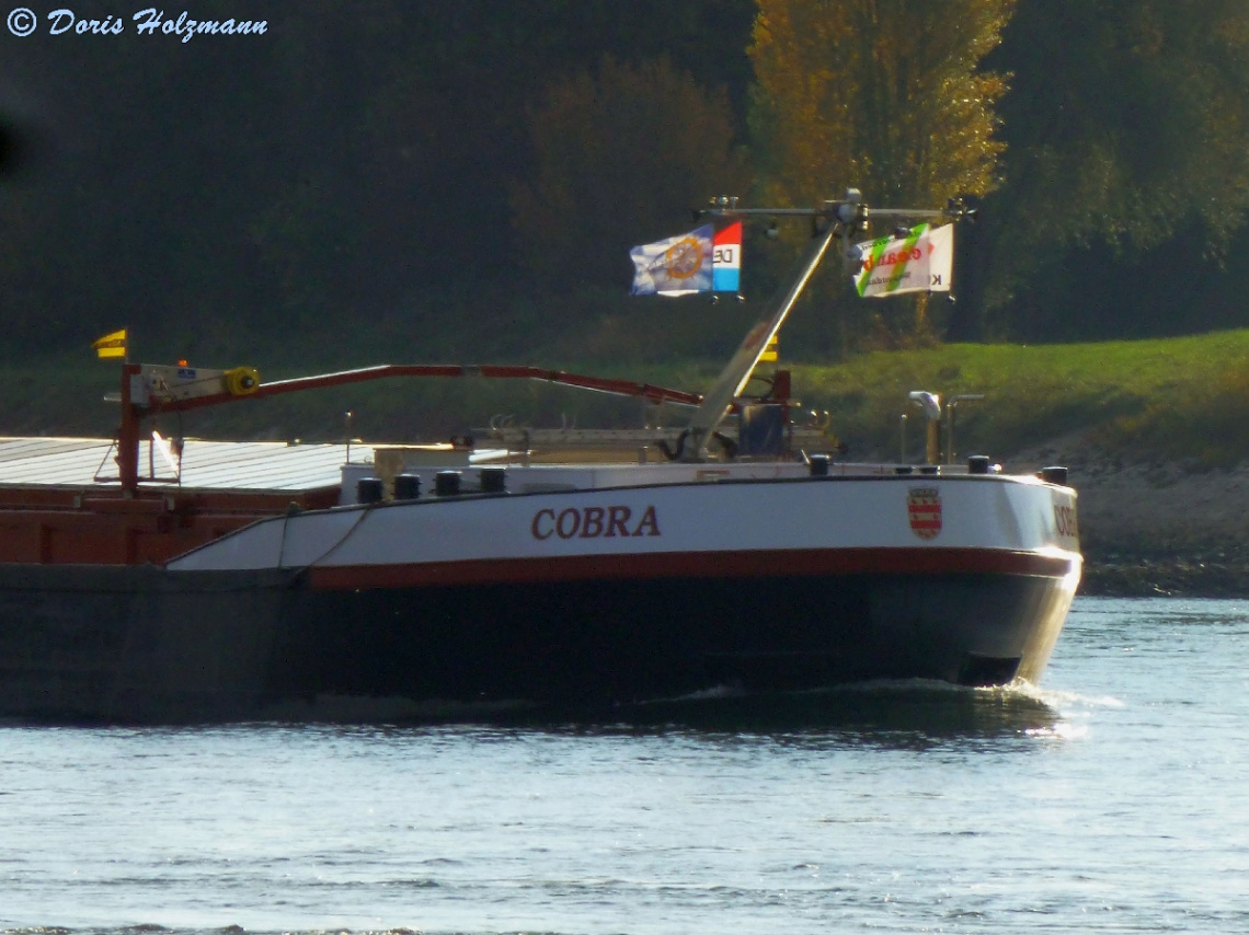 Auf dem Rhein