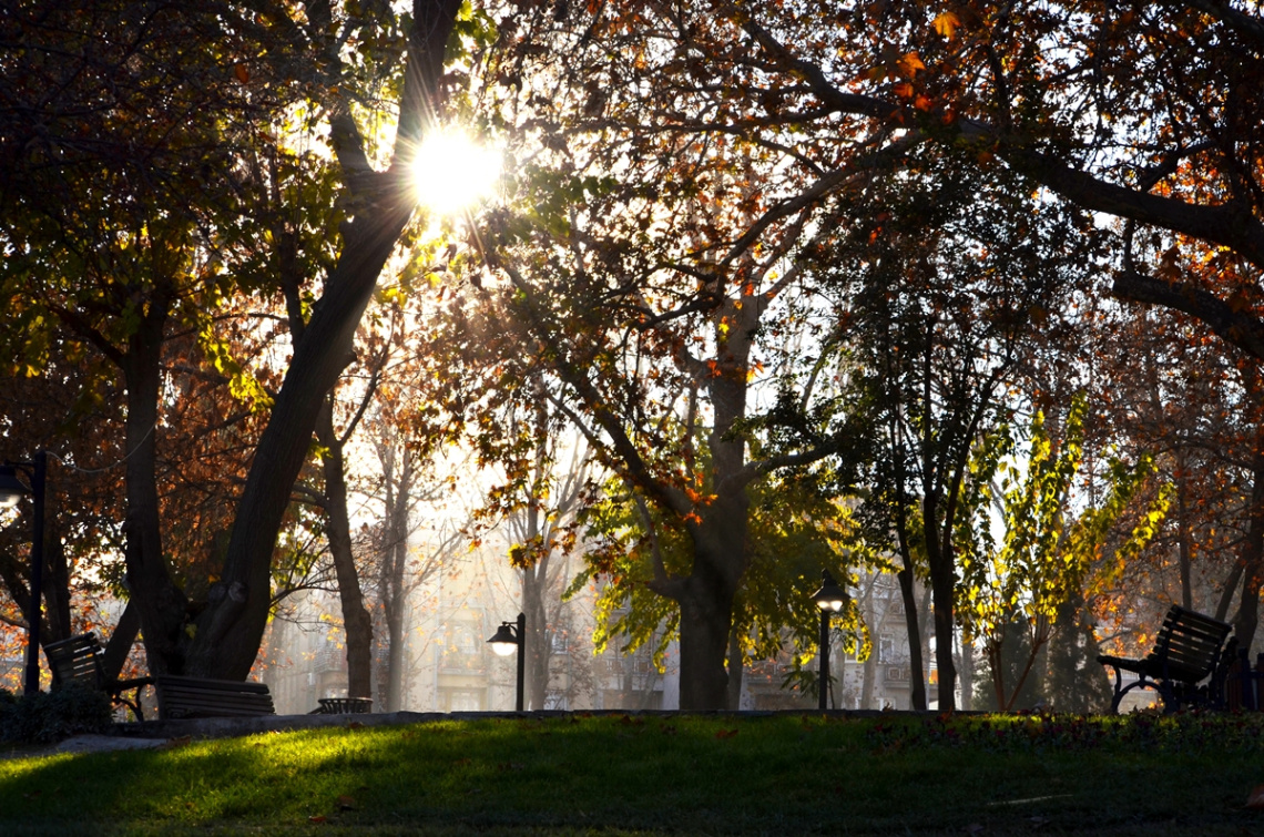 Yazıcıoğlu Parkı'nda Sonbahar