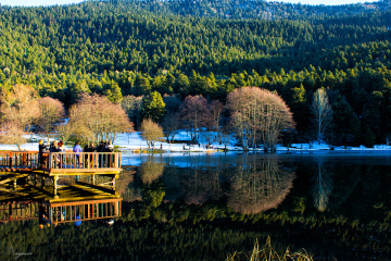 Bolu Gölcük Tabiat Parkı
