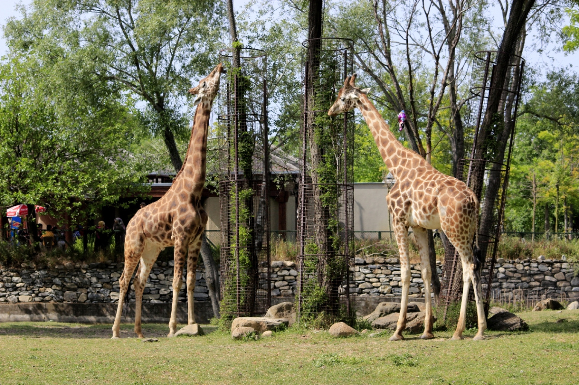 Bursa Zoo