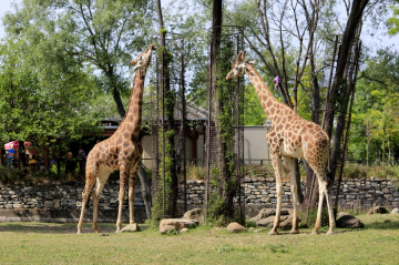 Bursa Zoo