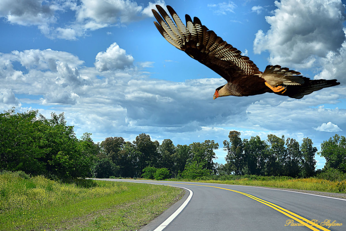 Over the road