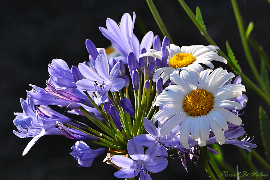 Natural bouquet