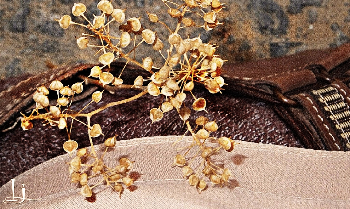 macro