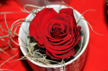 Red...