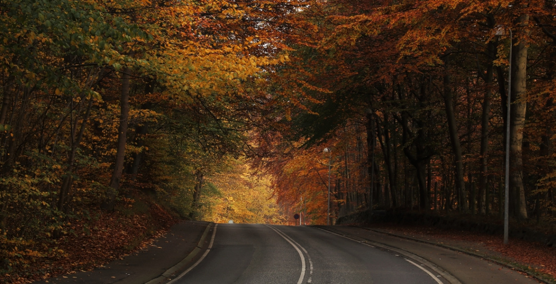 Autumn 2015