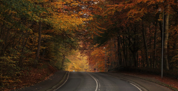 Autumn 2015