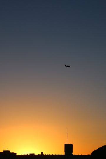 evening silhouette…