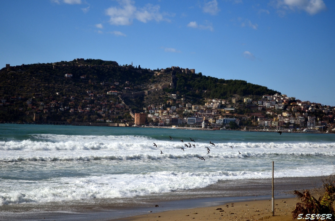 ALAnya Sahil
