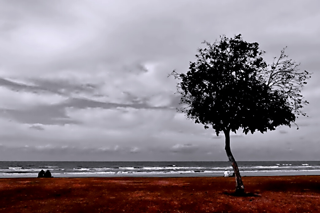 Standing Alone 