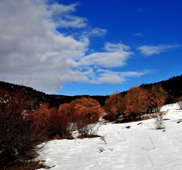 kışın...güzelliği....
