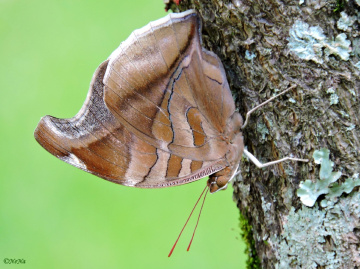 Beauties of nature