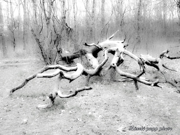 winter impact