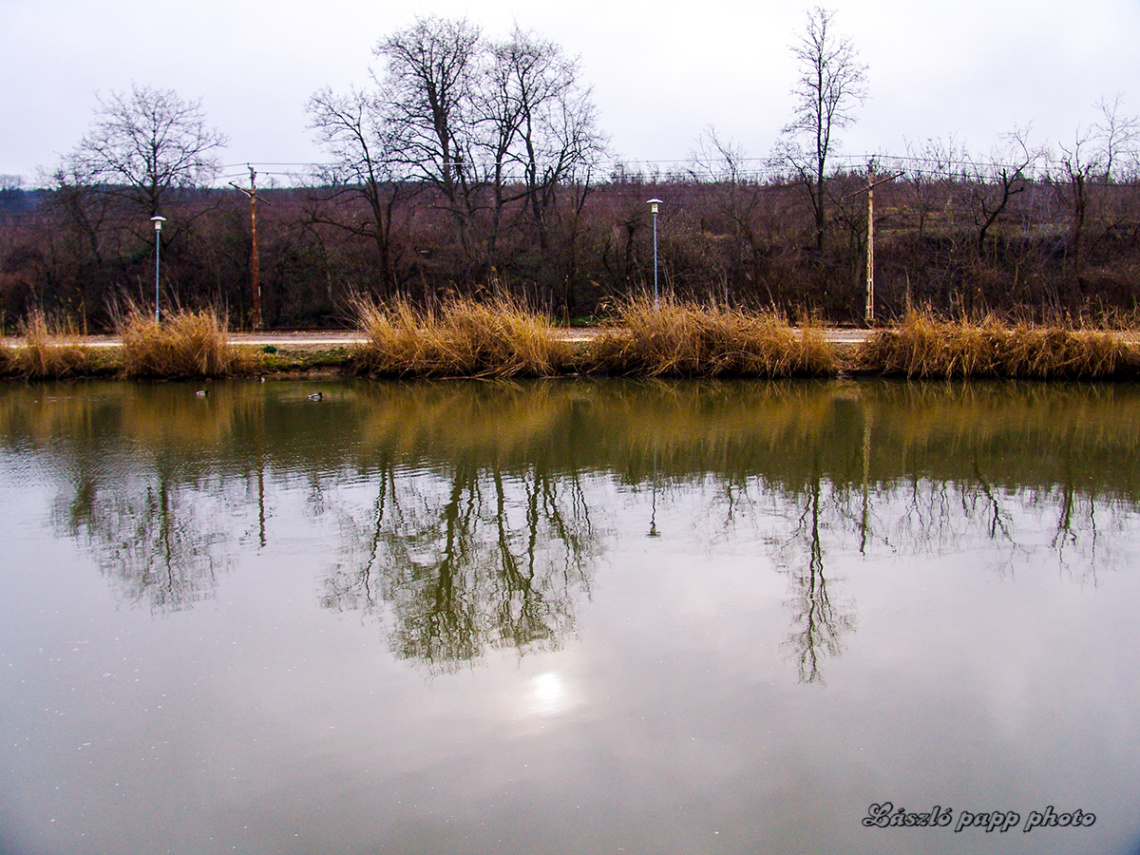 Reflect .