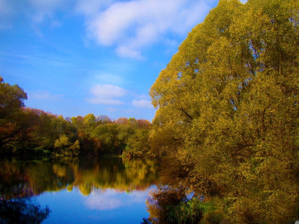 herbst