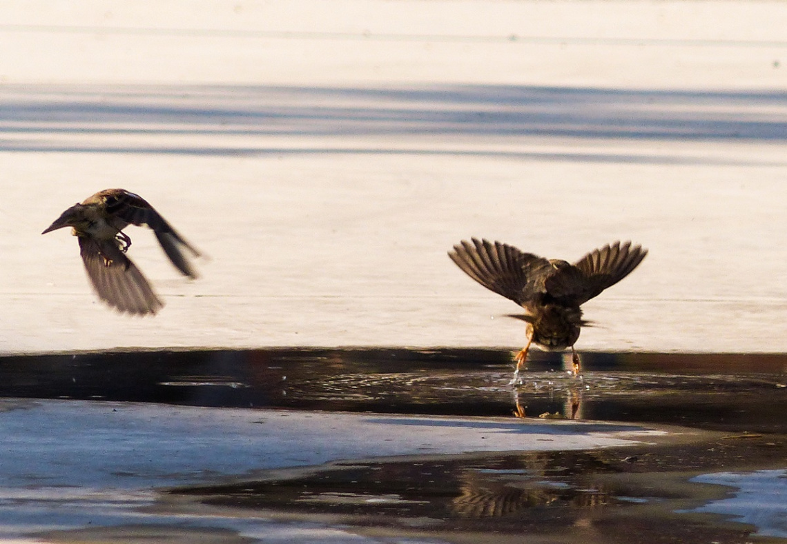 Take Off