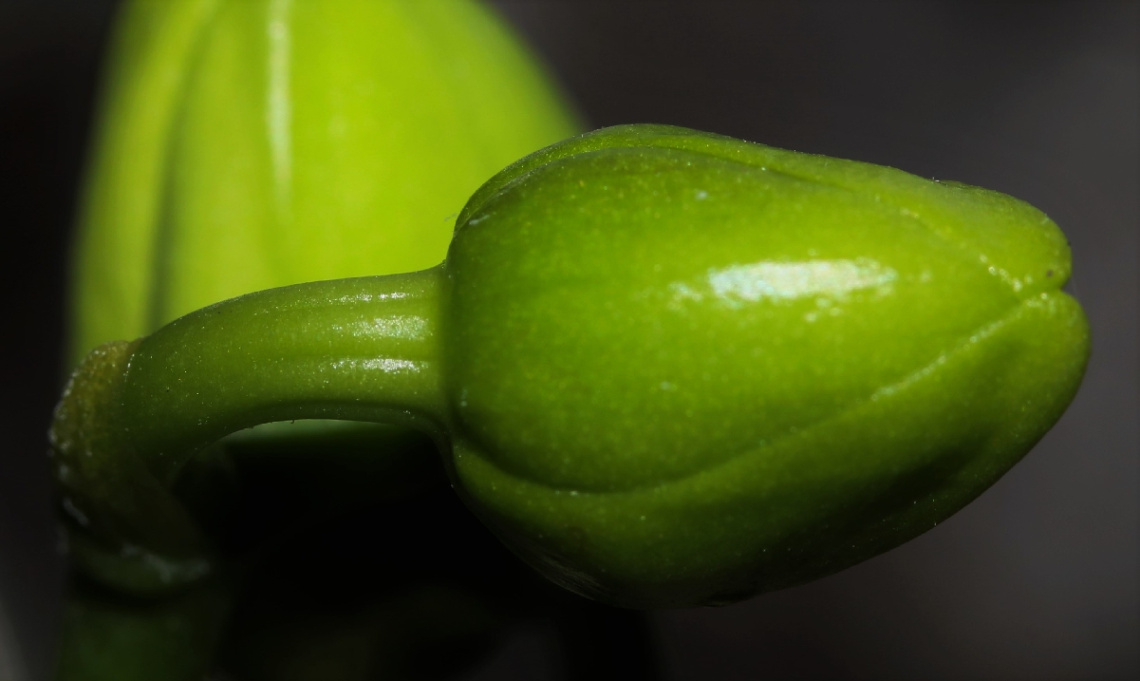 Up close...