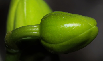 Up close...