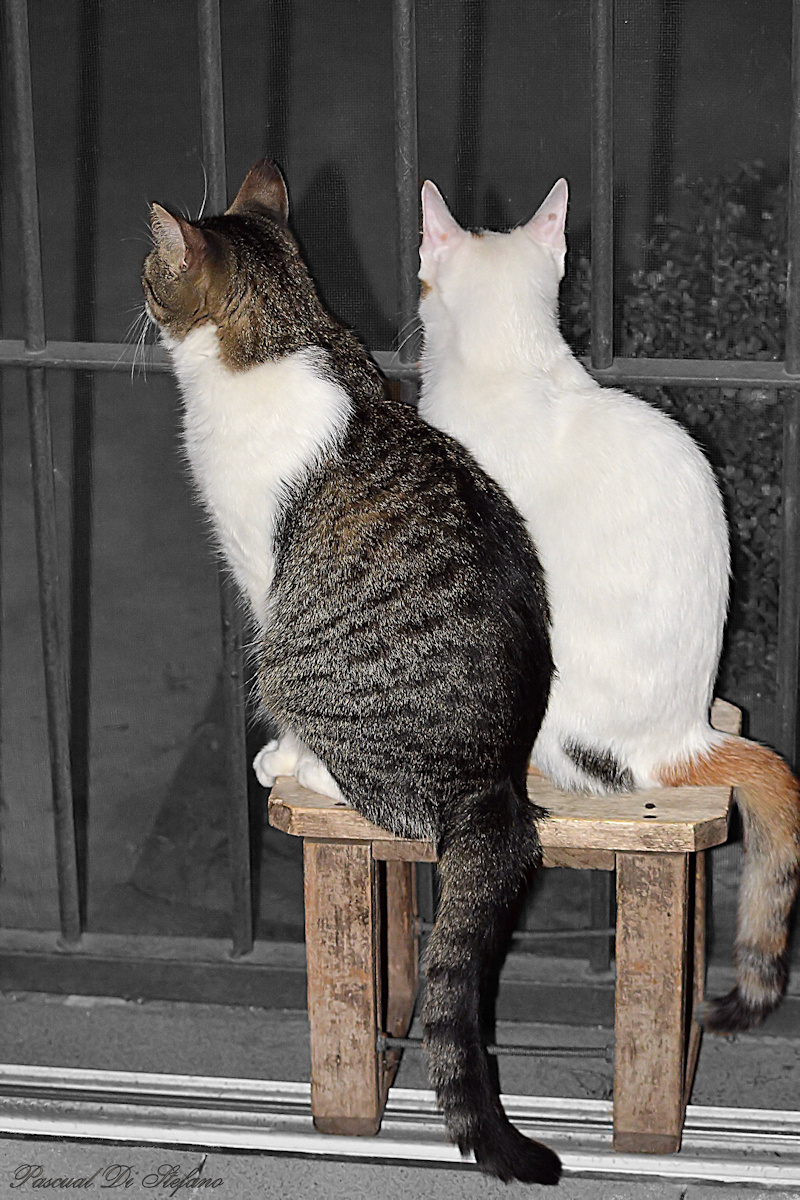 Waiting together