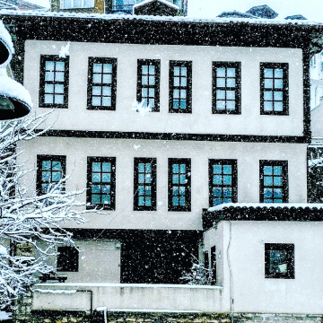 Ordu'nun evleri