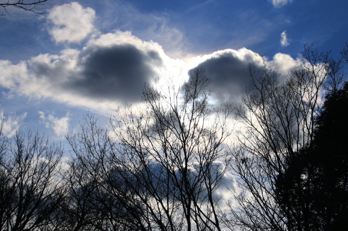 skull face sky